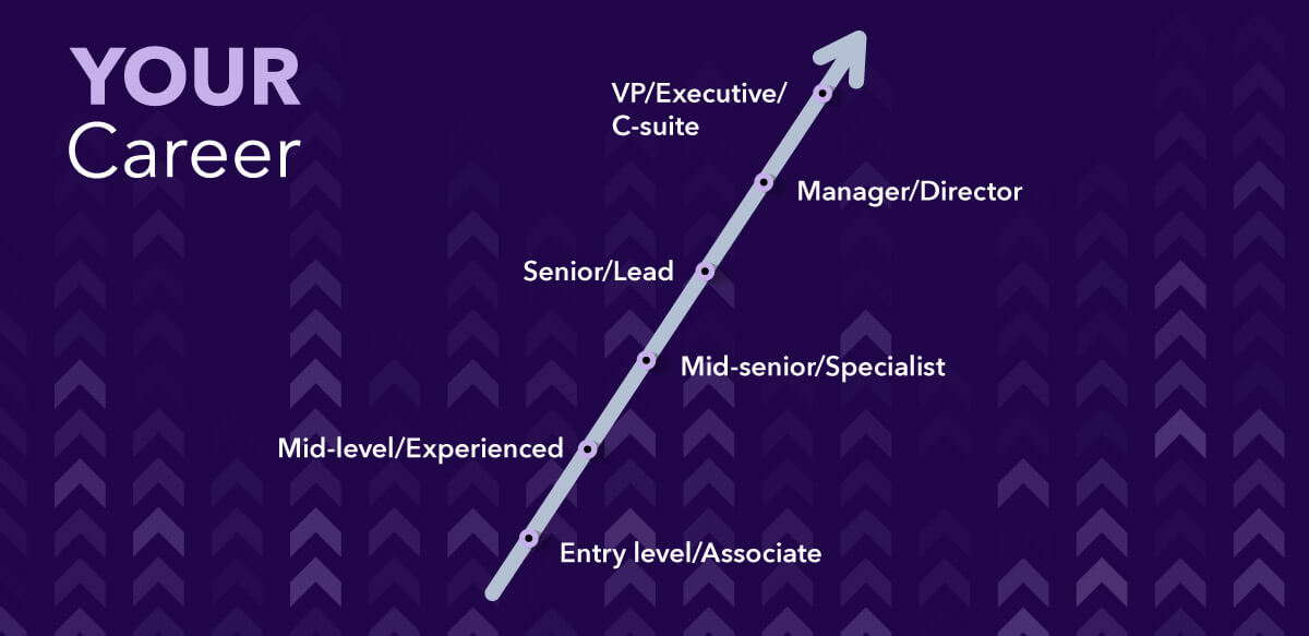 Your career path